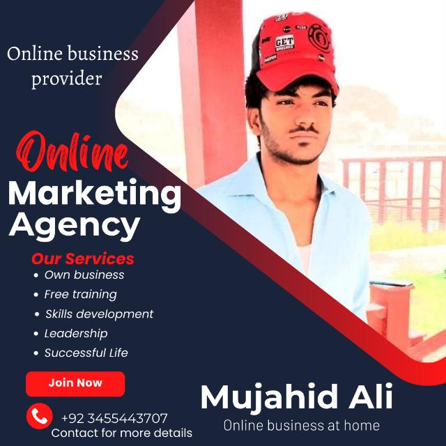 Online business Provider Mujahid Ali