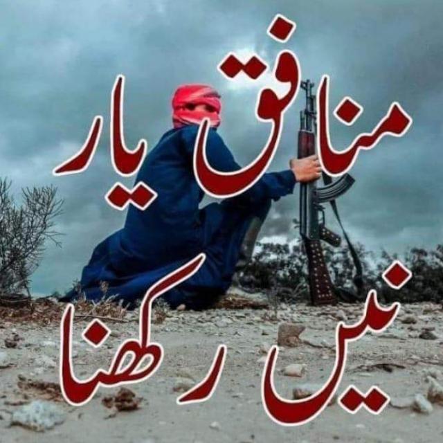 ?لولی پوپ گروپ?