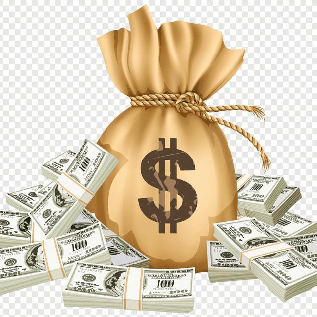 Money earning 100$ day