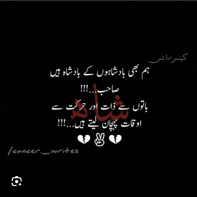 ???????? ????? ???????