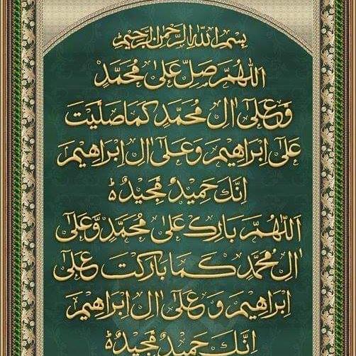 7- Star Signal Group