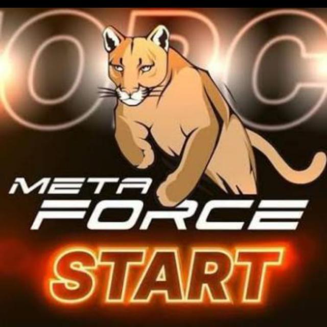 Business of meta force 🥰