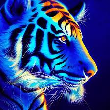 ?????? ?????........