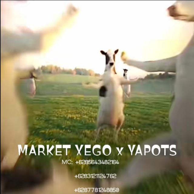 MARKET XEGO x YAPOTS