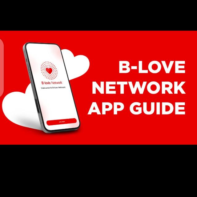 B love network group united states 