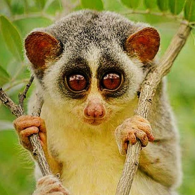 Mangalore, Karnataka 101