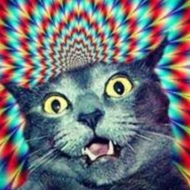 SHOYO MLBB RE-SELLING MLBB ACCOUNT.