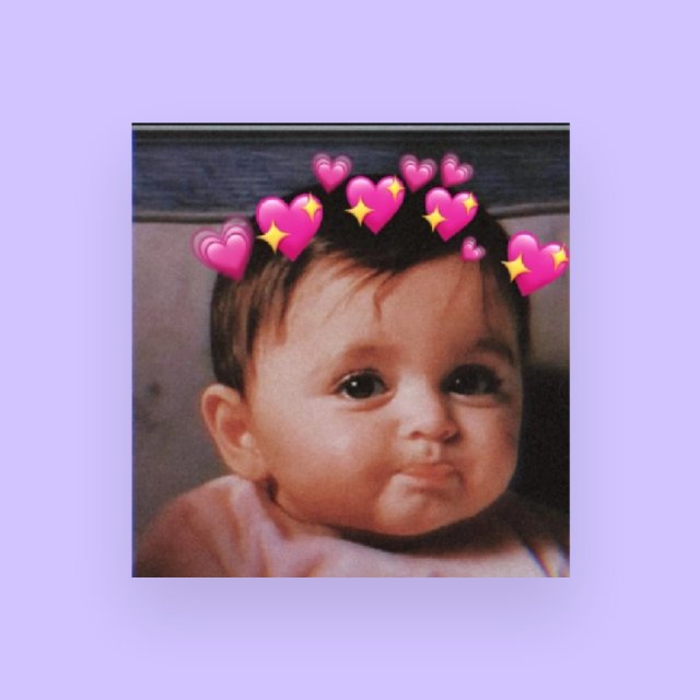 Kottayam pala real meet available