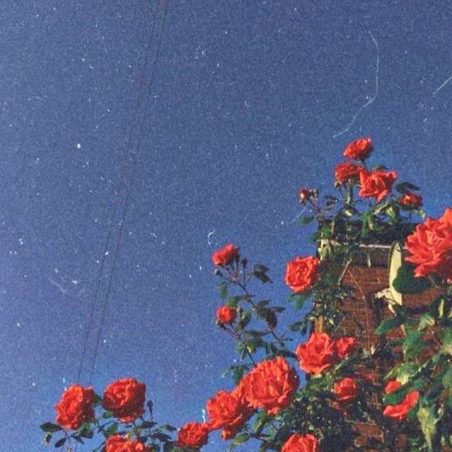 سمیاب رائٹس???