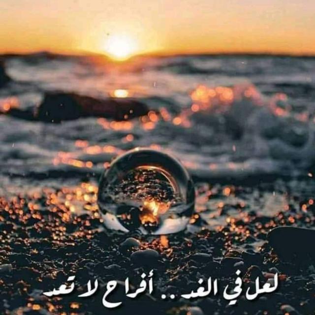 ترفيه فيديوهات ملصقات صور مضحكه المغرب فقط