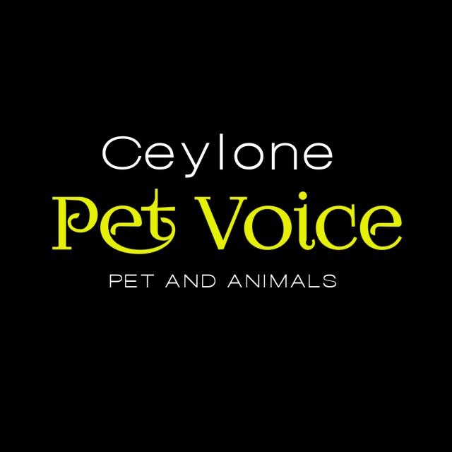 CEYLON PET VOICE - සත්ව පාලකයෝ🦆🕊️🐓