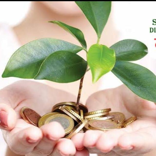 Otter Spot Decentralize