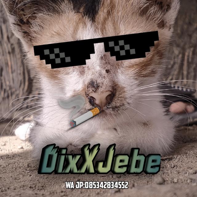 JB ALL GAME DIXX X OWN¹