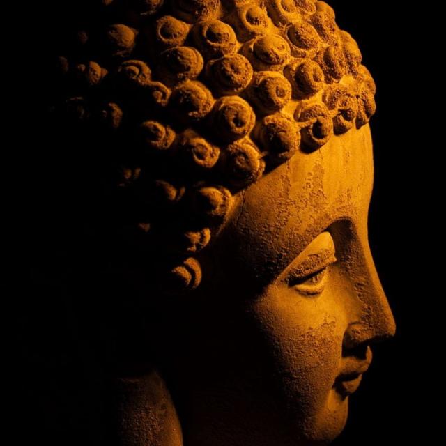 ධර්මයේ හැසිරෙමු ?☸️☸️