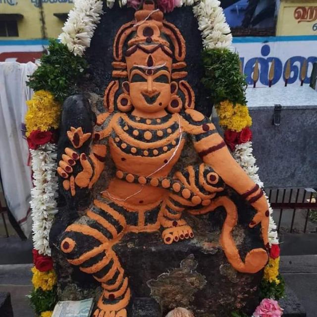 இயற்கை சித்தர் நண்பர்கள்