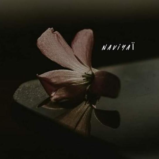 ???? ❥නිසදැස් පාරාදීසය❤⃪̸̯̯̯̯̯̯̯̯̯̯̯̯̯̯̯⃞?  ♡ ㅤ      ❍ㅤ        ⎙ㅤ    ⌲ ˡᶦᵏᵉ     ᶜᵒᵐᵐᵉⁿᵗ     ˢᵃᵛ