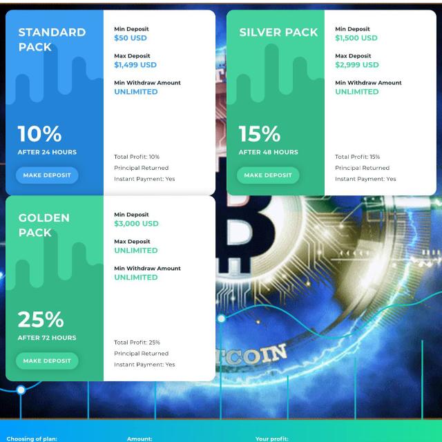 Winnersasset investment Limited platform