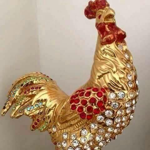 हर हर मोदी