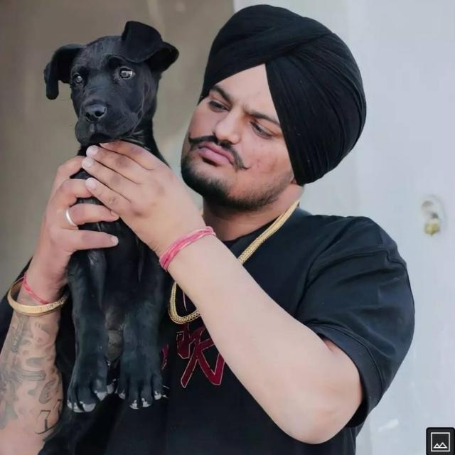 Only sidhu moosewala 5911