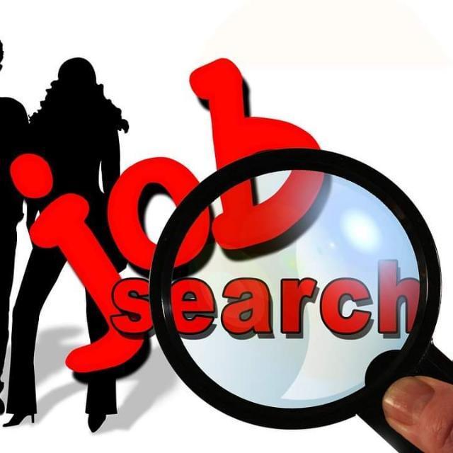 Job Search 20
