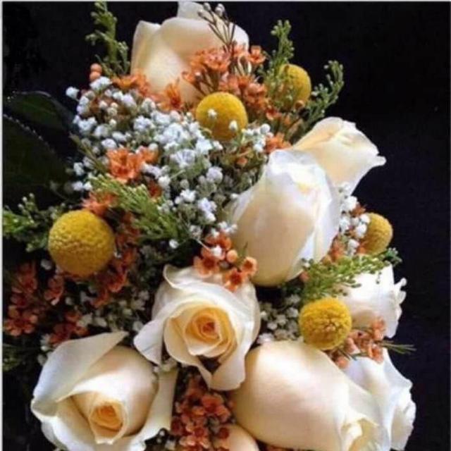 Virus a great weekend and the new