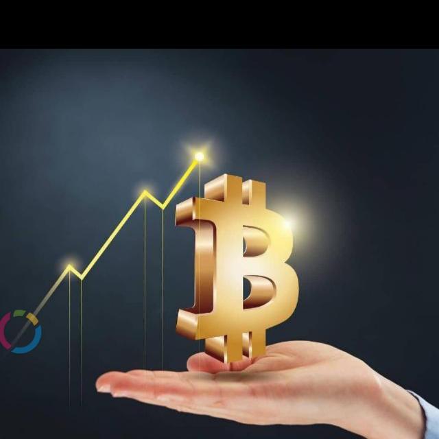 Bitcoin investment group