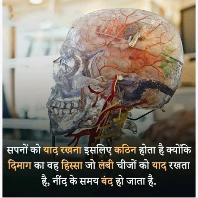 §ɱåȑț Ƚ£åȑñȋñğ ק?♀️ ?【≽ܫ≼】█▬█+█+▀