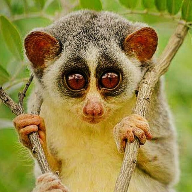 Rourkela, Odisha 101