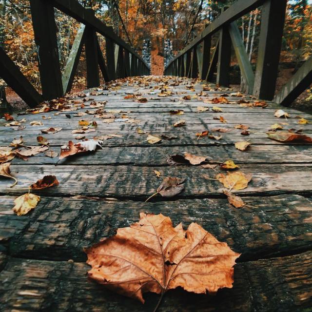 ???????????? ?????????