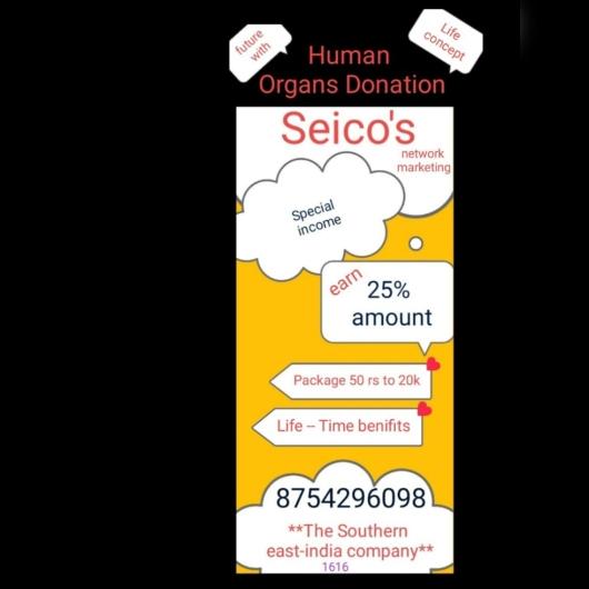 Seico -network 12 company