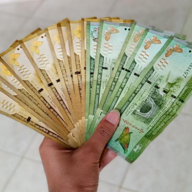 Success Lanka Team 3