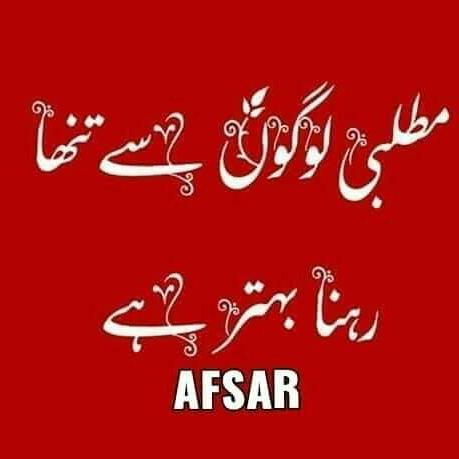 🌴مطلبی دنیا ❤ مطلبی یار🌴