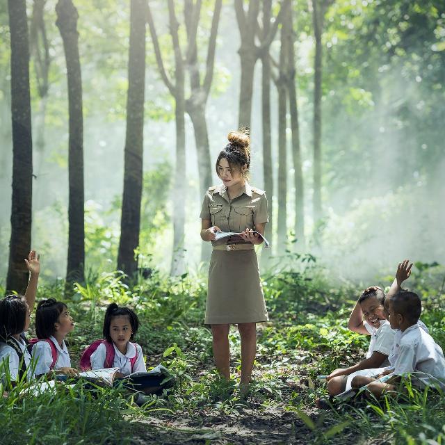 TET ONLINE EXAM WG 1