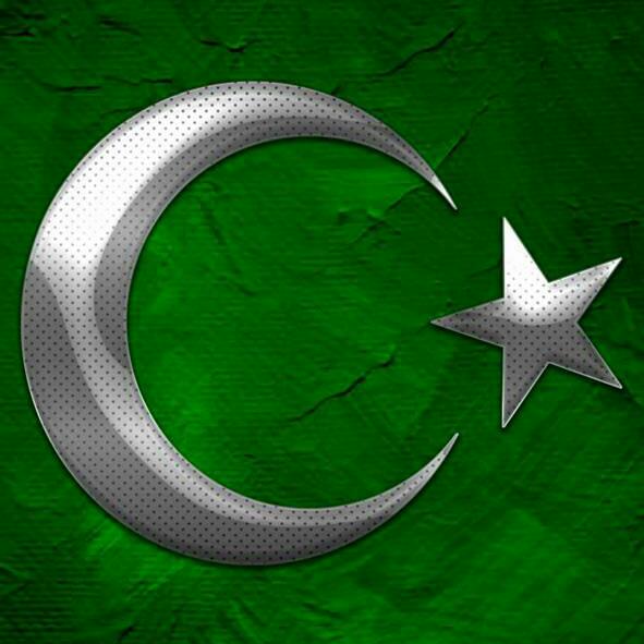 Dish setting software