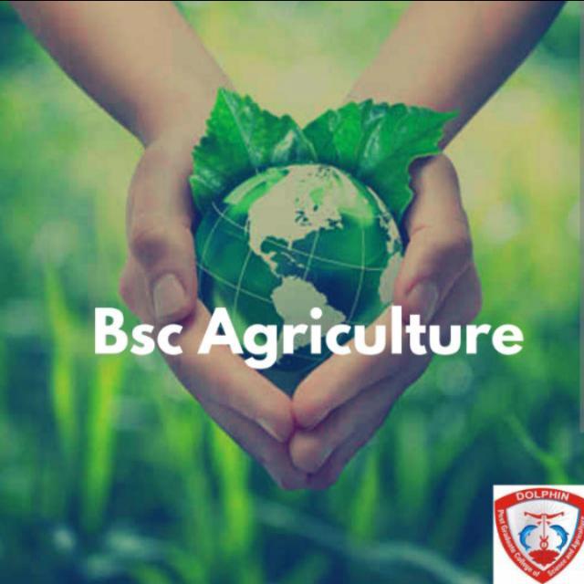 Bsc 1st Official Group