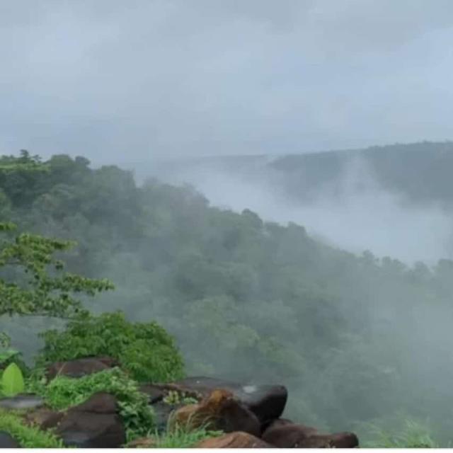 Dil valiya galah ?❤️