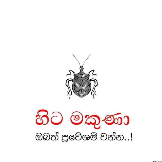 මහා කේ අයි බී අයි සංවිධානය