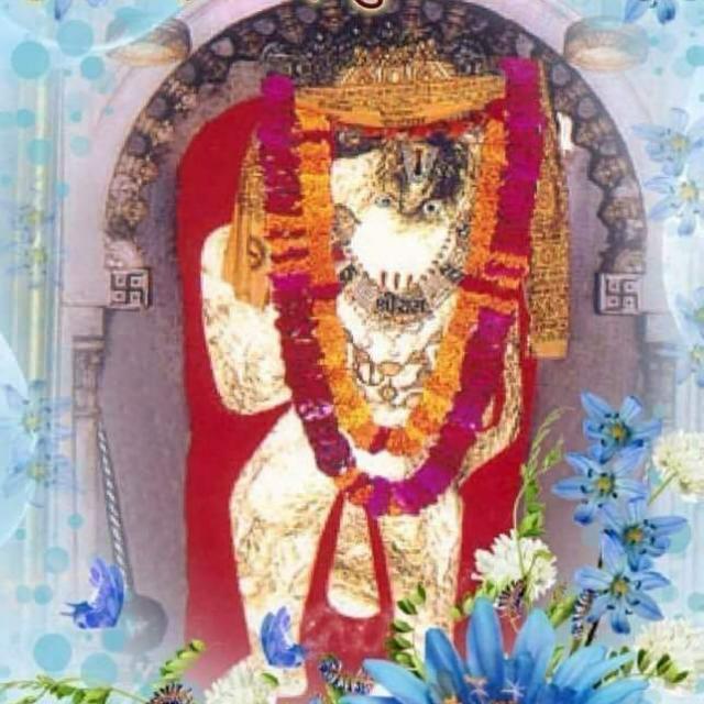 🌷🌷जय मेहंदीपुर बाबा की🌷🌷