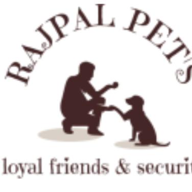 RAJPAL PET'S 