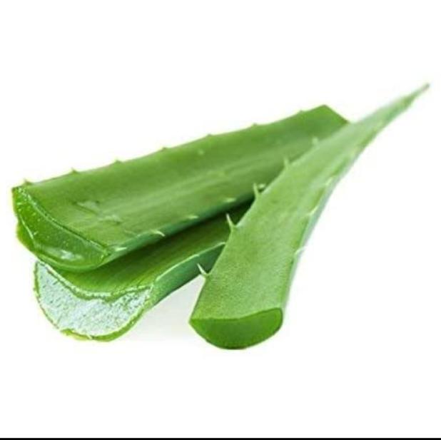 Buy Aloe Vera Products