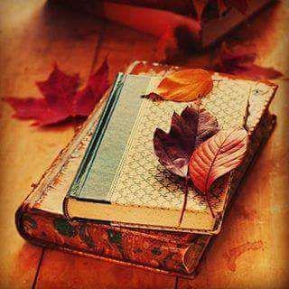 ❤️ARCHIVE YOUR DREAMS ❤️