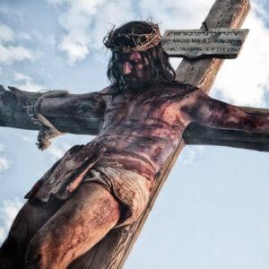 ?????????? ?????? ?? ??? ??????