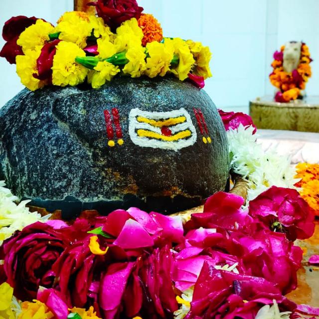 ?✨?️ दीवाने जागेश्वर धाम के ?️✨?