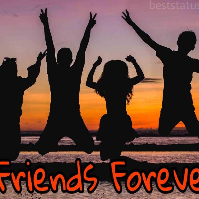 Friends forever