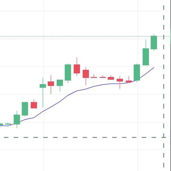 BINARY TRADE INVESTMENT COMPANY