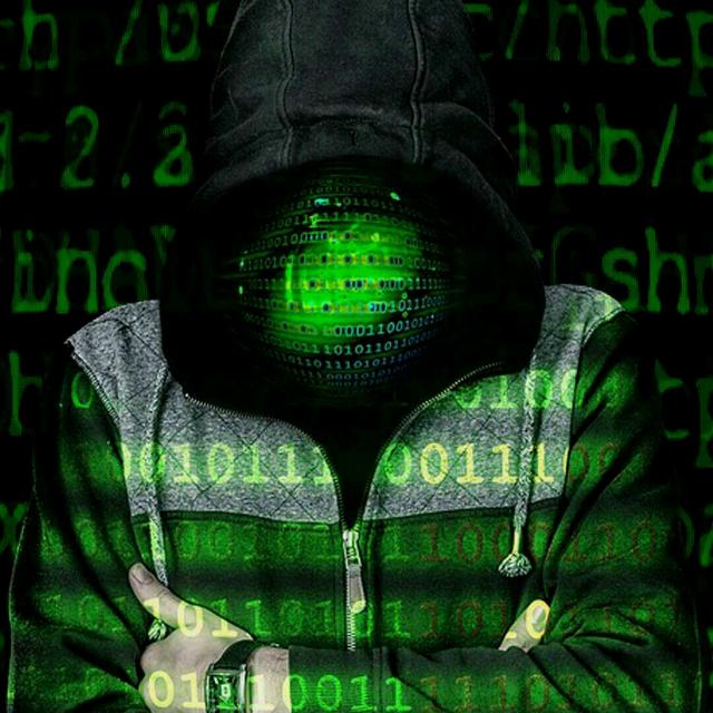 ☣️Greyhat hackers earnings