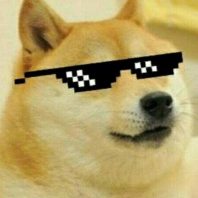 Cheem Doge V2