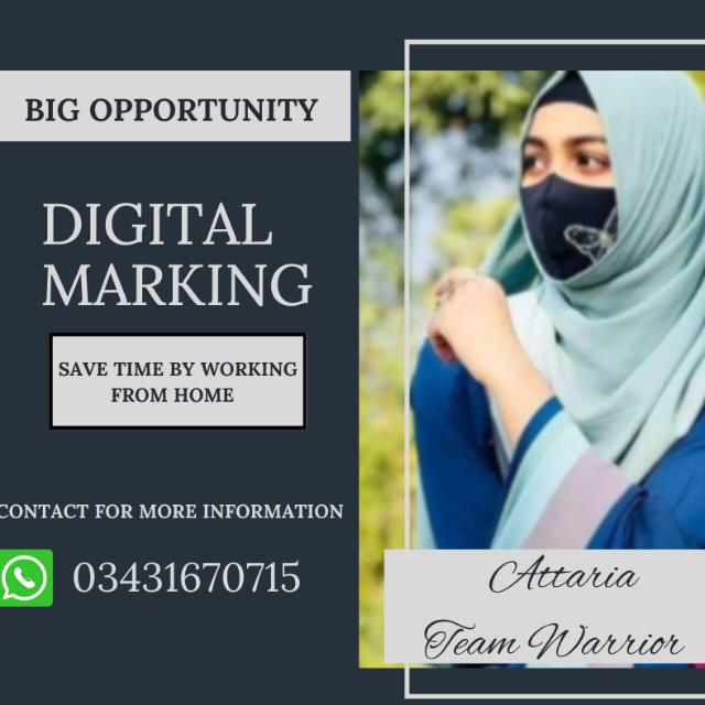 Earning with Attaria