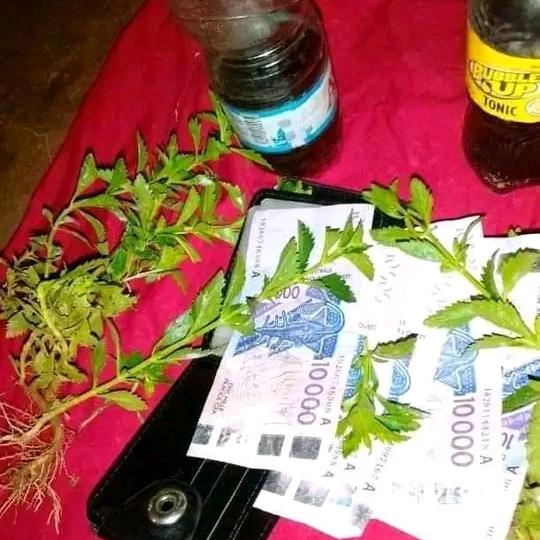 HOUNNON TCHEKPO Alfa