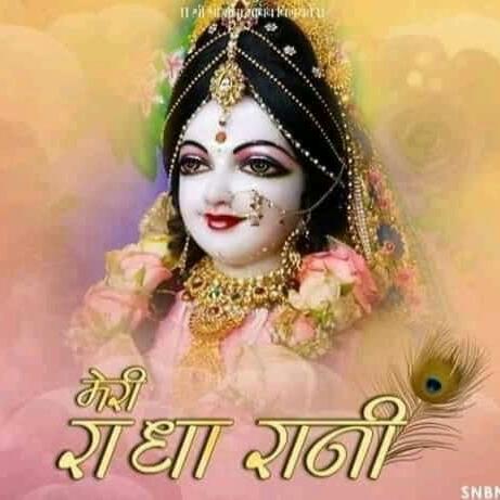 ShreeHari Astro Solutions